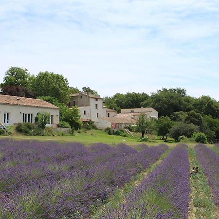 Hotel Les Anes De Forcalquier Esterno foto