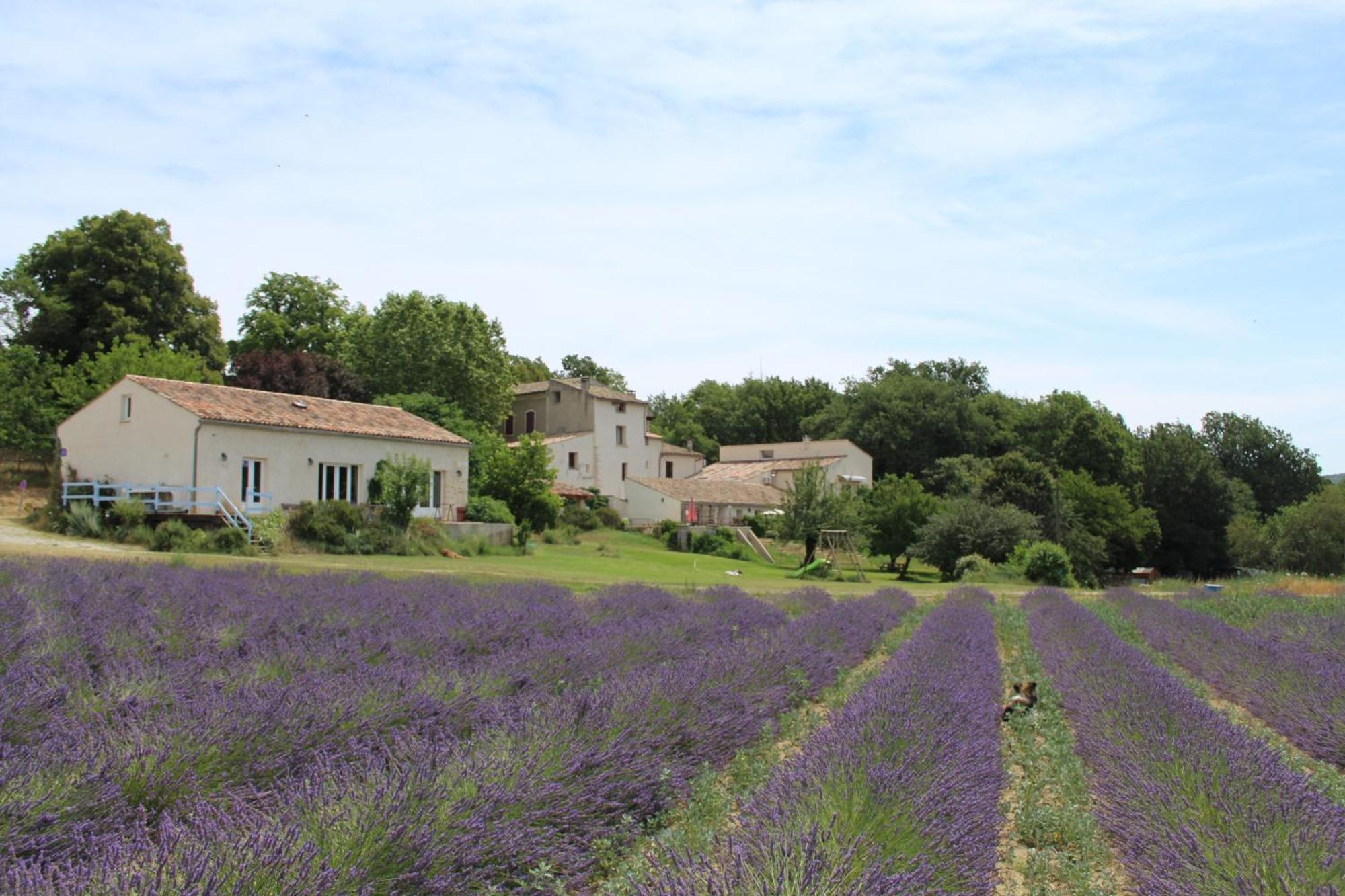 Hotel Les Anes De Forcalquier Esterno foto