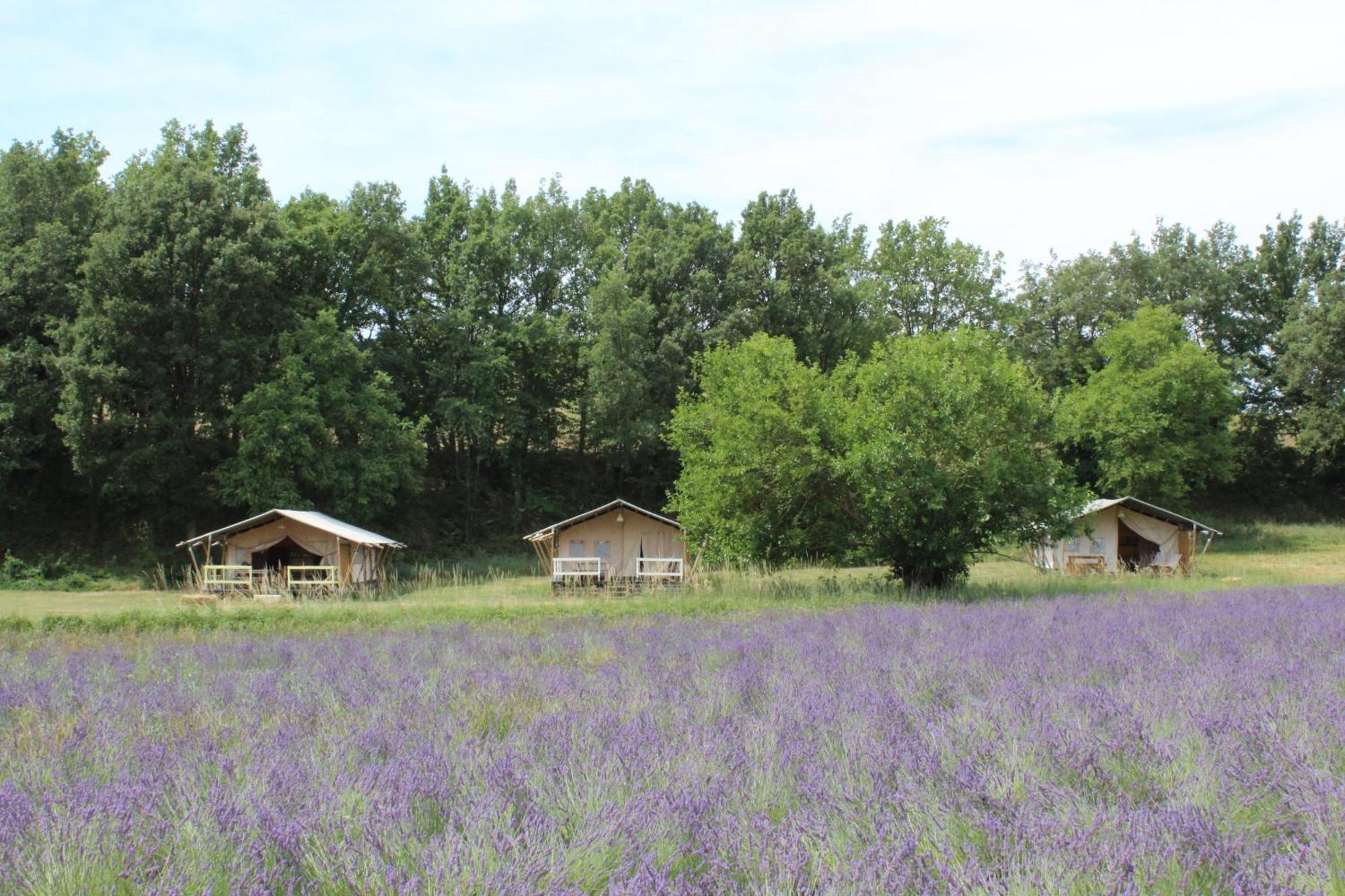 Hotel Les Anes De Forcalquier Esterno foto