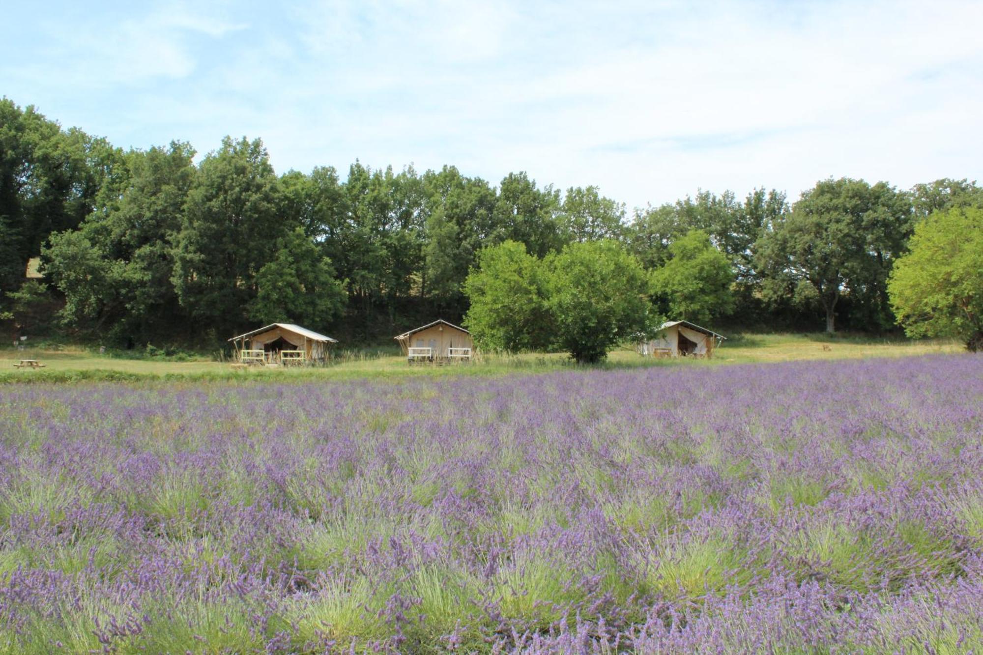 Hotel Les Anes De Forcalquier Esterno foto