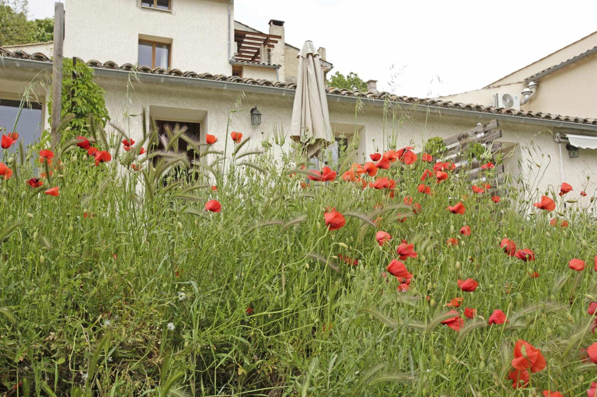 Hotel Les Anes De Forcalquier Camera foto